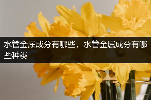 水管金属成分有哪些，水管金属成分有哪些种类
