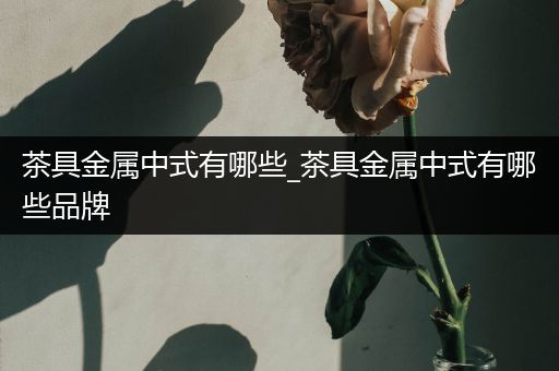 茶具金属中式有哪些_茶具金属中式有哪些品牌
