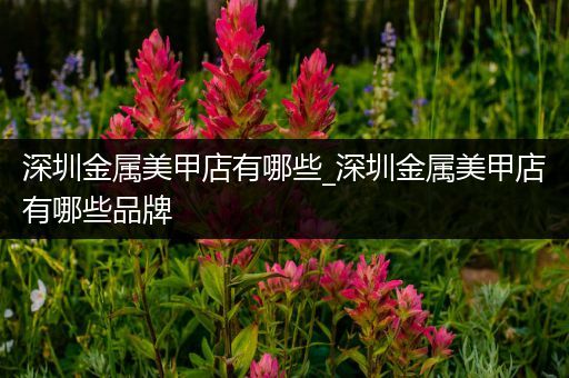 深圳金属美甲店有哪些_深圳金属美甲店有哪些品牌