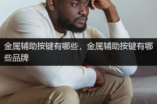 金属辅助按键有哪些，金属辅助按键有哪些品牌