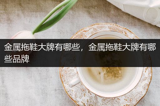 金属拖鞋大牌有哪些，金属拖鞋大牌有哪些品牌