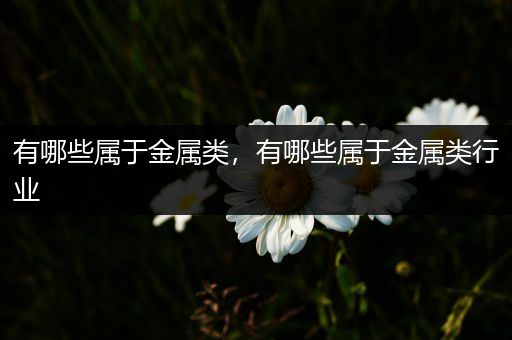 有哪些属于金属类，有哪些属于金属类行业