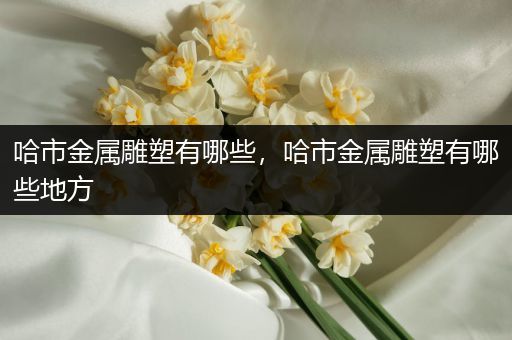 哈市金属雕塑有哪些，哈市金属雕塑有哪些地方