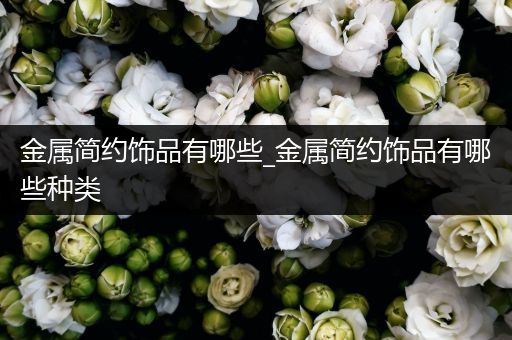 金属简约饰品有哪些_金属简约饰品有哪些种类