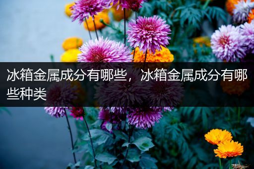 冰箱金属成分有哪些，冰箱金属成分有哪些种类