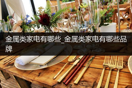 金属类家电有哪些_金属类家电有哪些品牌