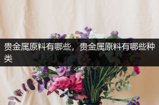 贵金属原料有哪些，贵金属原料有哪些种类