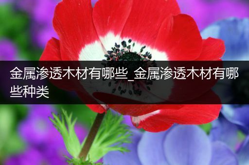 金属渗透木材有哪些_金属渗透木材有哪些种类