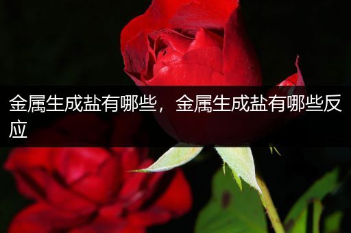 金属生成盐有哪些，金属生成盐有哪些反应