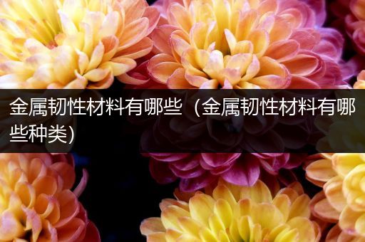 金属韧性材料有哪些（金属韧性材料有哪些种类）