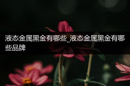 液态金属黑金有哪些_液态金属黑金有哪些品牌