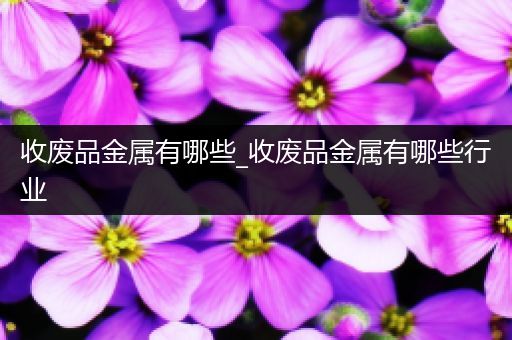 收废品金属有哪些_收废品金属有哪些行业