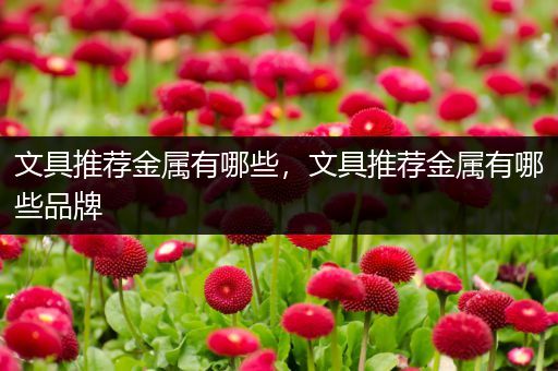 文具推荐金属有哪些，文具推荐金属有哪些品牌