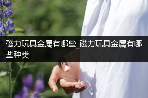 磁力玩具金属有哪些_磁力玩具金属有哪些种类