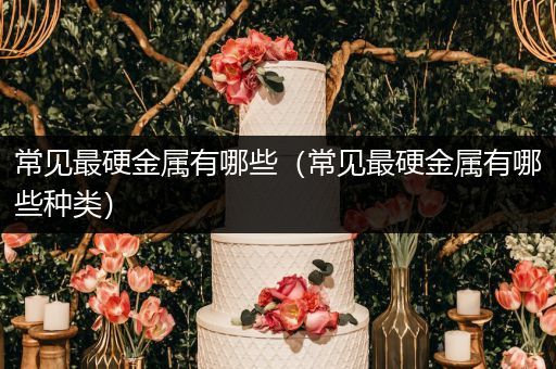 常见最硬金属有哪些（常见最硬金属有哪些种类）