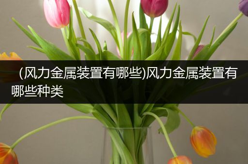 （风力金属装置有哪些)风力金属装置有哪些种类