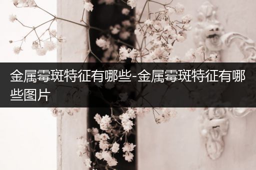 金属霉斑特征有哪些-金属霉斑特征有哪些图片