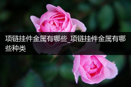 项链挂件金属有哪些_项链挂件金属有哪些种类