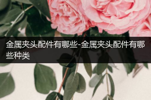金属夹头配件有哪些-金属夹头配件有哪些种类