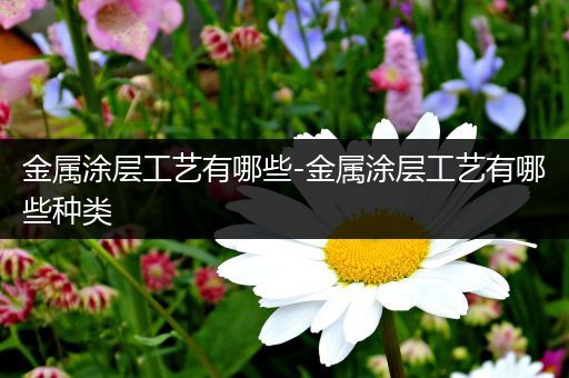 金属涂层工艺有哪些-金属涂层工艺有哪些种类