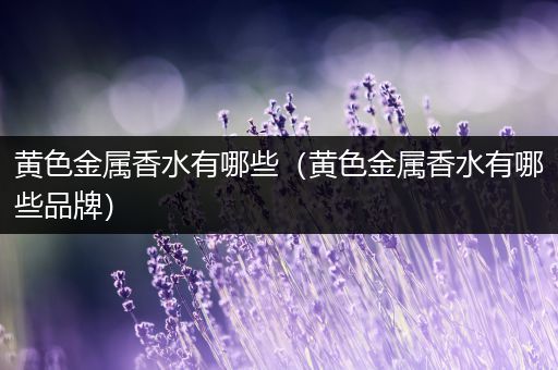 黄色金属香水有哪些（黄色金属香水有哪些品牌）
