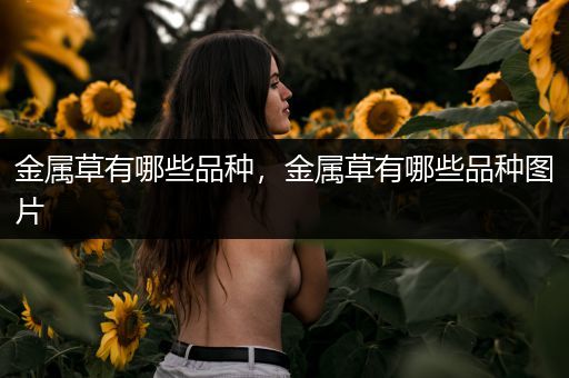 金属草有哪些品种，金属草有哪些品种图片