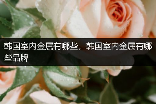 韩国室内金属有哪些，韩国室内金属有哪些品牌