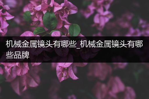 机械金属镜头有哪些_机械金属镜头有哪些品牌