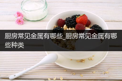厨房常见金属有哪些_厨房常见金属有哪些种类