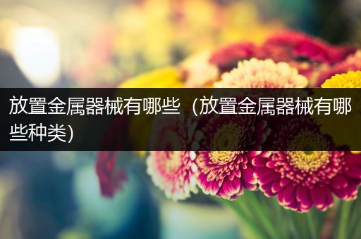 放置金属器械有哪些（放置金属器械有哪些种类）