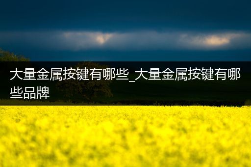 大量金属按键有哪些_大量金属按键有哪些品牌