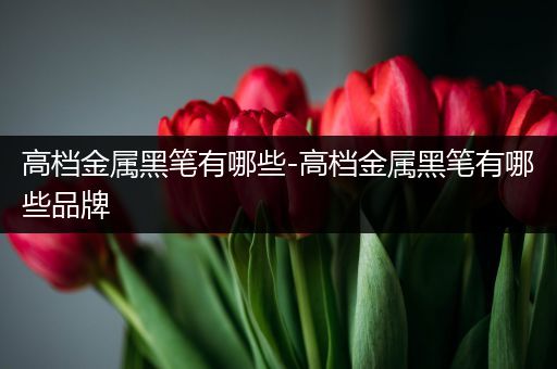 高档金属黑笔有哪些-高档金属黑笔有哪些品牌