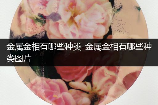 金属金相有哪些种类-金属金相有哪些种类图片
