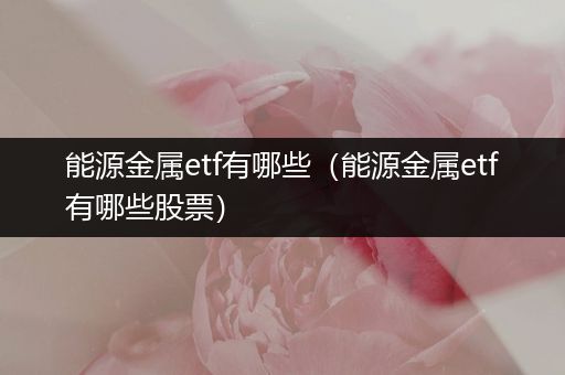 能源金属etf有哪些（能源金属etf有哪些股票）