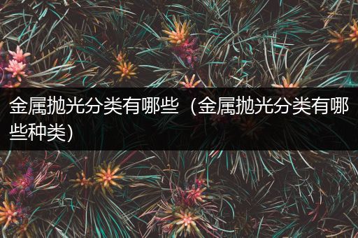 金属抛光分类有哪些（金属抛光分类有哪些种类）