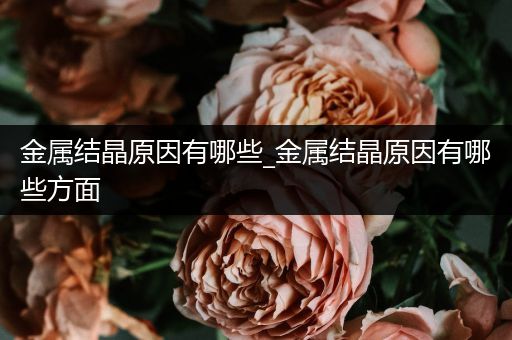 金属结晶原因有哪些_金属结晶原因有哪些方面