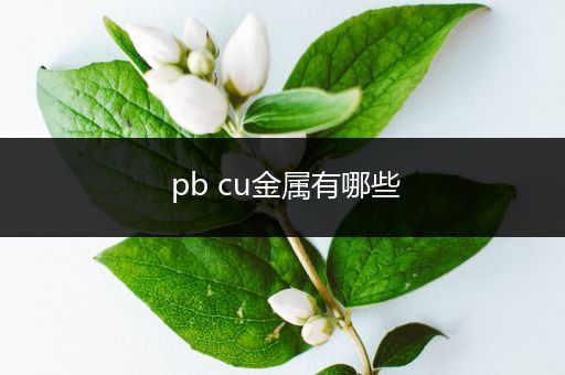 pb cu金属有哪些