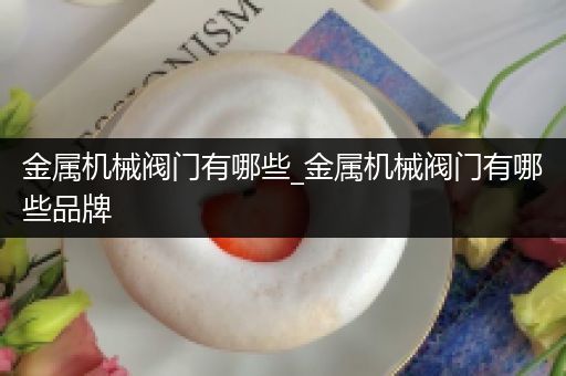金属机械阀门有哪些_金属机械阀门有哪些品牌