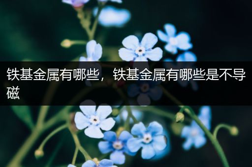 铁基金属有哪些，铁基金属有哪些是不导磁