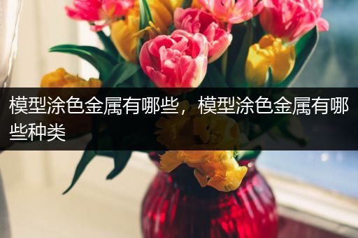 模型涂色金属有哪些，模型涂色金属有哪些种类