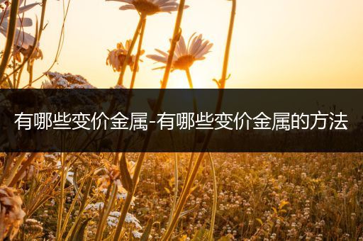 有哪些变价金属-有哪些变价金属的方法