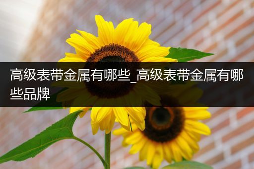 高级表带金属有哪些_高级表带金属有哪些品牌