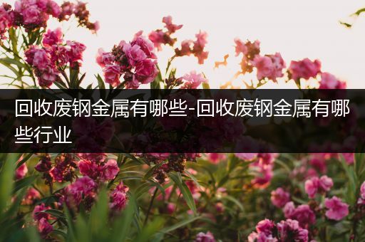 回收废钢金属有哪些-回收废钢金属有哪些行业