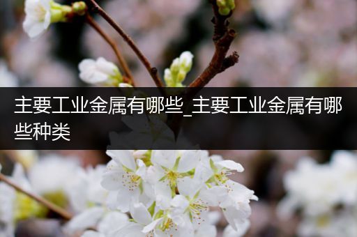 主要工业金属有哪些_主要工业金属有哪些种类