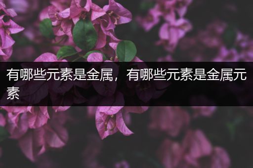 有哪些元素是金属，有哪些元素是金属元素