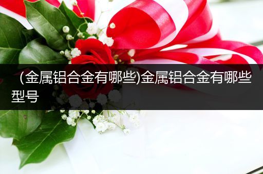 （金属铝合金有哪些)金属铝合金有哪些型号