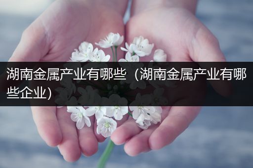 湖南金属产业有哪些（湖南金属产业有哪些企业）