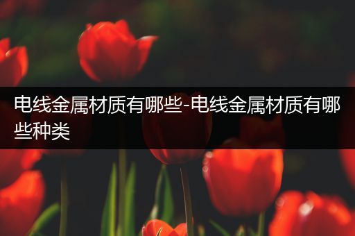 电线金属材质有哪些-电线金属材质有哪些种类