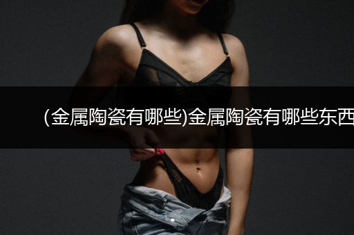 （金属陶瓷有哪些)金属陶瓷有哪些东西
