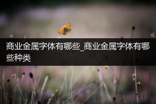 商业金属字体有哪些_商业金属字体有哪些种类